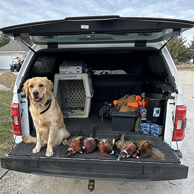 Bird dog sold to eliot 1 scaled