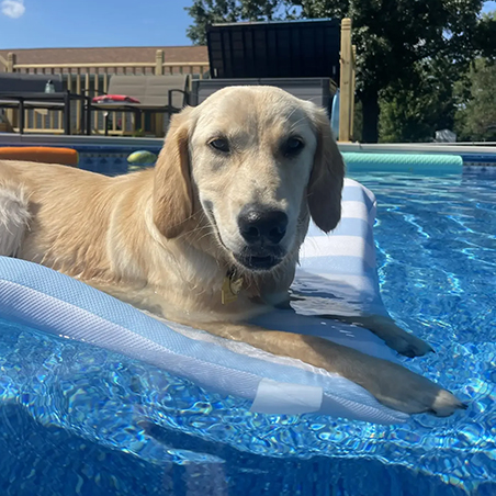 Sophie sold to marissa 4 scaled