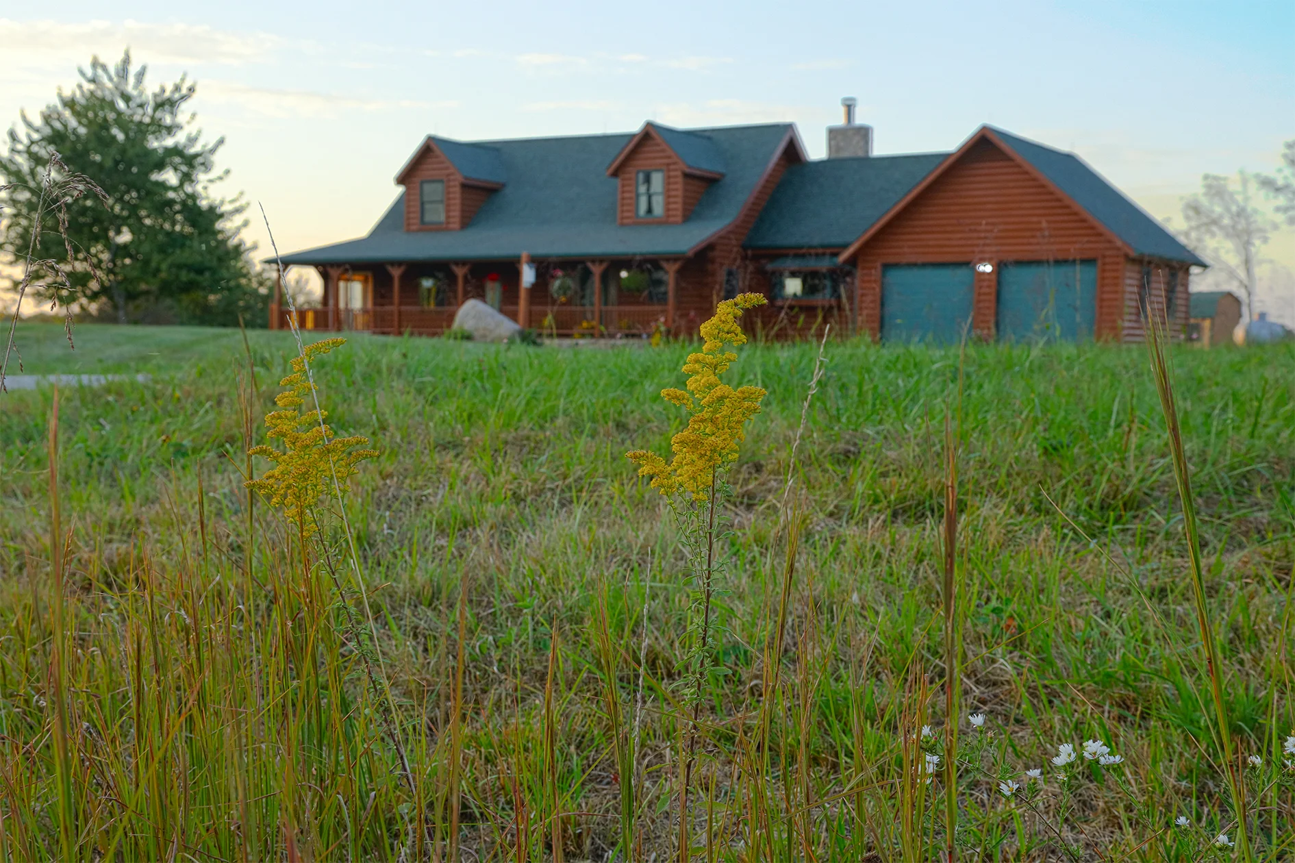 Home of pinehill goldens memphis